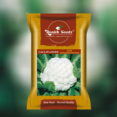 knol khol Pack